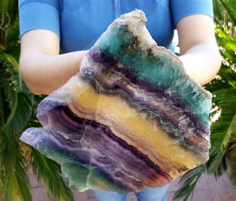 Amazing Geologist Rocks And Minerals Geode Rocks Pretty Rocks