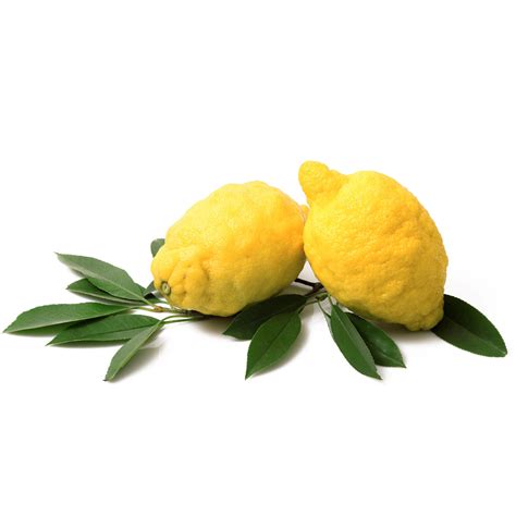 Sorrento Lemons - Limoni di Sorrento – Alma Gourmet