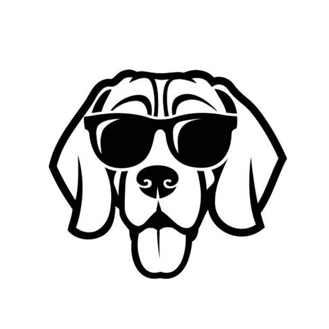 a black and white dog wearing sunglasses