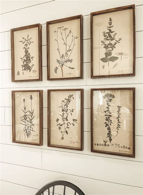 Collected Botanical Prints Set Of 6 Antique Farmhouse