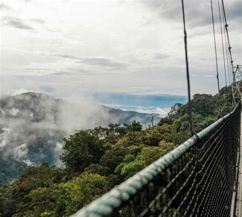 Days Nyungwe National Park Safari Adventures Hermosa Life Tours