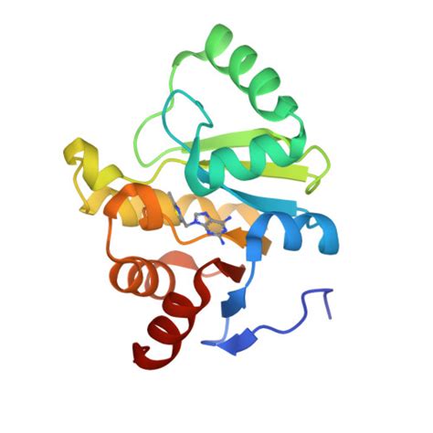 Rcsb Pdb Spf Pandda Analysis Group Deposition Crystal Structure