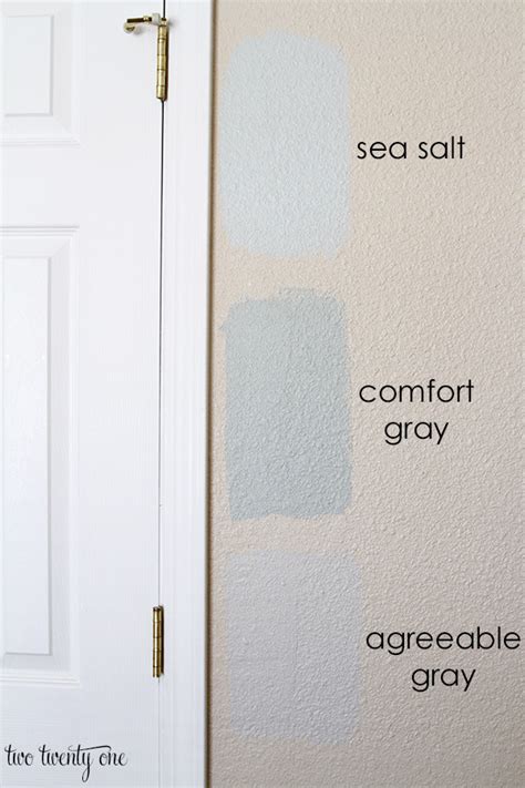 The Best Agreeable Gray Sherwin Williams Sea Salt Coordinating