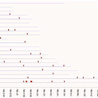 Chromosomal Locations For Transgenerational Differential Dna