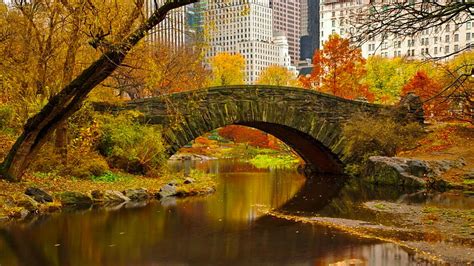 Autumn In Central Park Fall Autumn Bonito Park Trees Foliage