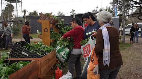 D A De Las Infancias Se Realiz Un Intercambio De Alimentos En La