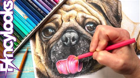 Cómo dibujar un perrito boceto y coloreado a lápices de colores paso a