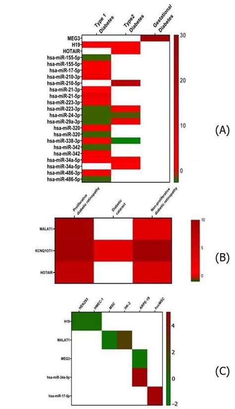 Heatmaps Of Common Noncoding RNAs As Putative Markers For Diabetes