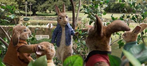 Peter Rabbit And Mr Mcgregors Vegetable Garden Boo Roo And Tigger Too