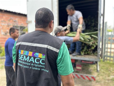 Prefeitura De Manaus Distribuiu No Primeiro Trimestre Cerca De 25 Mil