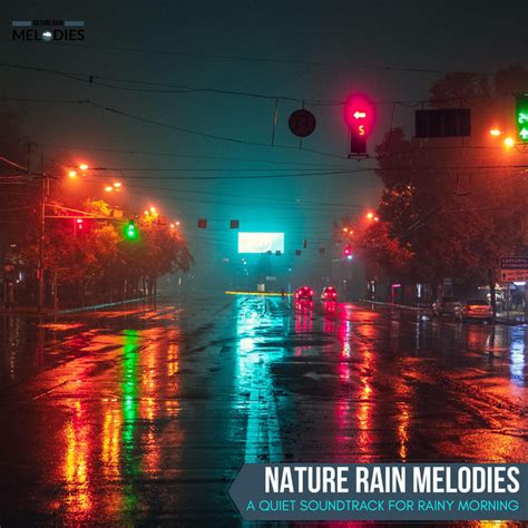 Nature Rain Melodies A Quiet Soundtrack For Rainy Morning