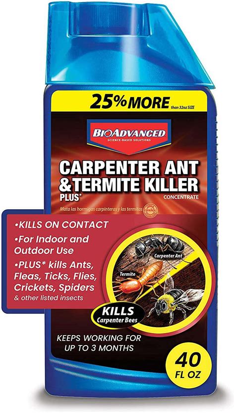 The 8 Best Ant Killers Of 2022 For Indoor And Outdoor Use