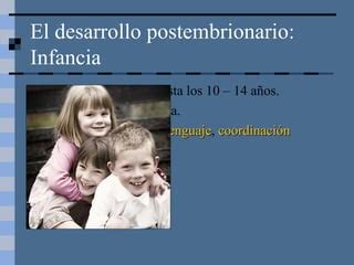 Desarrollo Embrionario PPT