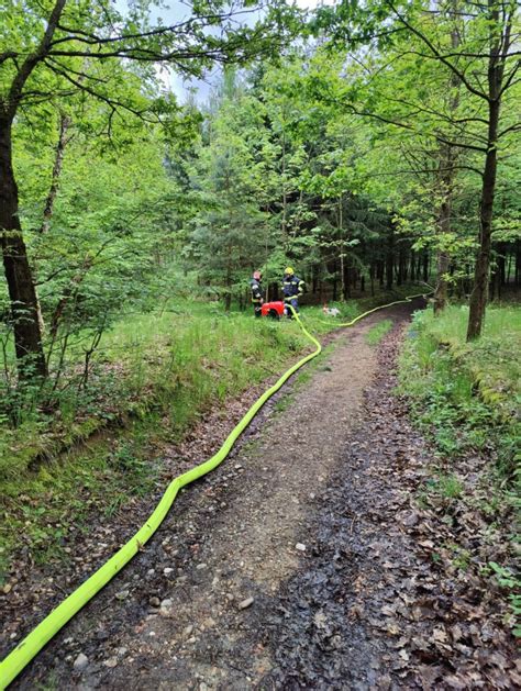 Pflichtbereichs Bung Bek Mpfung Waldbrand Freiwillige Feuerwehr M Hldorf