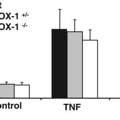 Sc Inhibits Tnf Induced Pge Synthesis In Cox Deficient Spinal