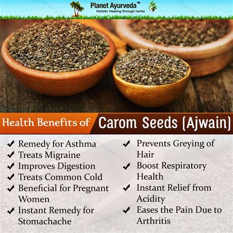 Carom Seeds Trachyspermum Ammi Uses Benefits Dosage And