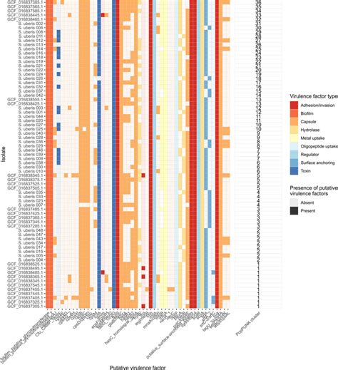 Heatmap Of Putative Virulence Factors Comparing S Uberis Isolated From