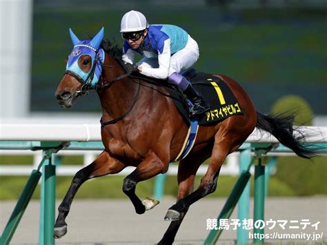 【古馬次走報】アドマイヤビルゴは大阪杯でgiに初参戦｜競馬ニュース｜競馬予想のウマニティ