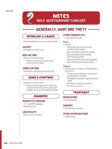 Overview of Male Genitourinary Cancers: Etiology, Diagnosis, Staging ...