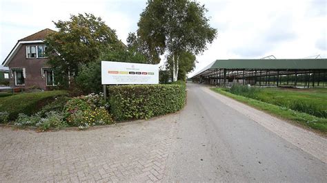 Hoeve Biesland En Huiberts Biologische Bloembollen Genomineerd Voor