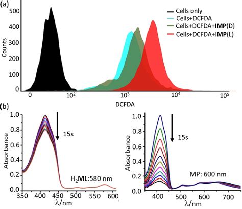 a Detection of cellular ROS generated by IMP 1 μM 4 h treated A549