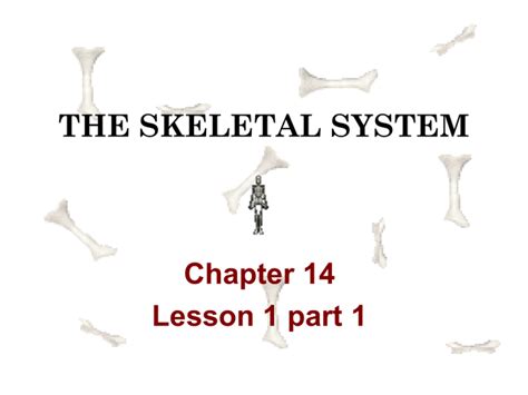THE SKELETAL SYSTEM Chapter 14 Lesson 1 part 1 