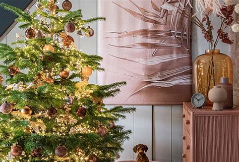 Echte Kerstboom Met Kluit Kopen Intratuin