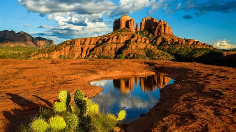 Cactus Shadow Pond Trees Clouds Sandstone Rocks Canyon