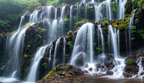 Banyu Wana Amertha Waterfalls Southeast Asia Travel