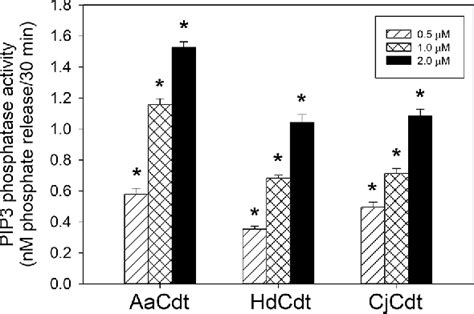 Figure 1 From The Active Subunit Of The Cytolethal Distending Toxin