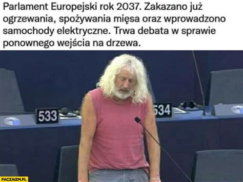 Parlament Europejski rok 2037 zakazano ogrzewania mięsa samochodów