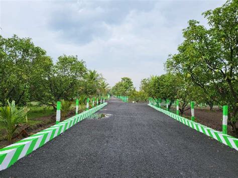 Agricultural Land Sq Ft For Sale In Tindivanam Chennai Rei