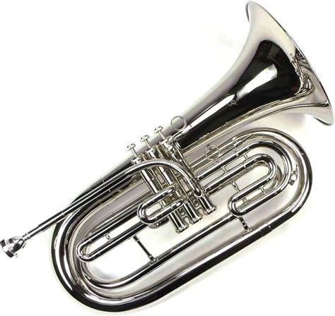 Amazon.com: Baritone Horns - Baritone Horns / Brass Instruments ...