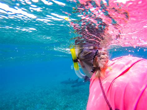 Snorkeling the MesoAmerican Reef: The Second Largest Reef in the World