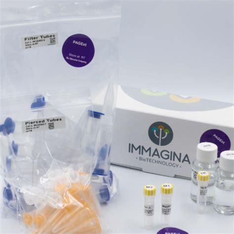 PAGE Gel Extraction Kit NEW SIZE 24 Rxns 12 RNA 12 DNA