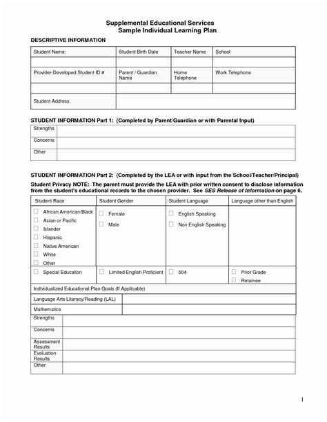 Individual Learning Plan Template Best Template Practices