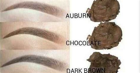 16 Eyebrow Diagrams That Will Explain Everything To You Natural Brows