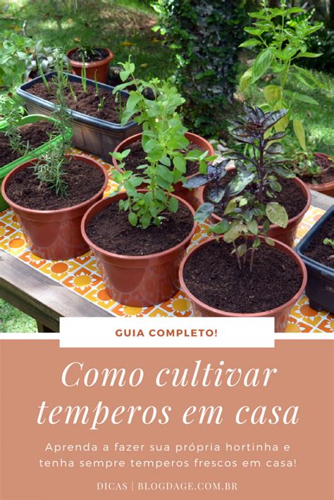 Como Cultivar Temperos Em Casa Guia Completo Blog Da Ge