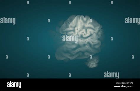 Brain scan Stock Videos & Footage - HD and 4K Video Clips - Alamy