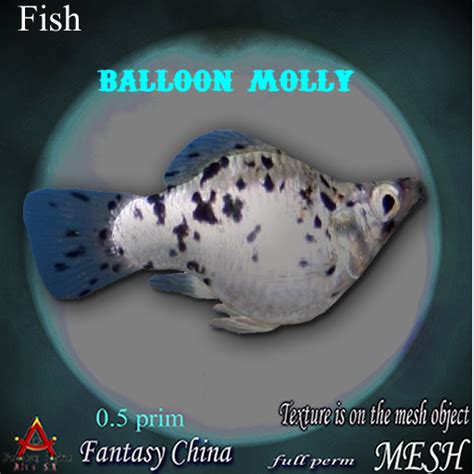 life marketplace full perm fc mesh balloon molly fish bp