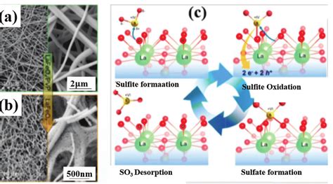 Schematics Lafeo 3 Nanofibers For Gas Sensing Sem Micrographs Showing Download Scientific