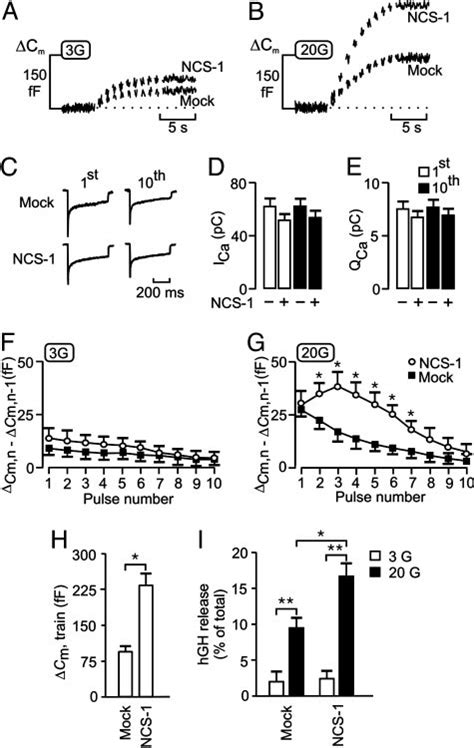 Ncs 1 Facilitates Glucose And Ca 2 Dependent Exocytosis Individual