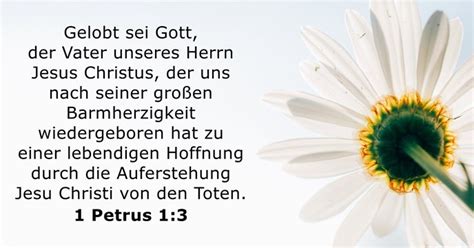 Daily Bible Verse Petrus