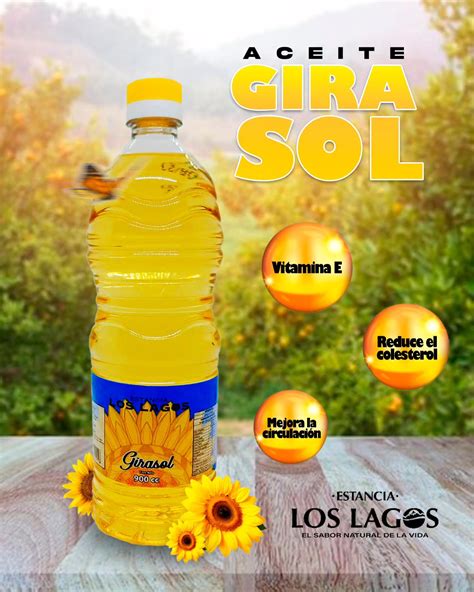Como Se Hace El Aceite De Girasol 8