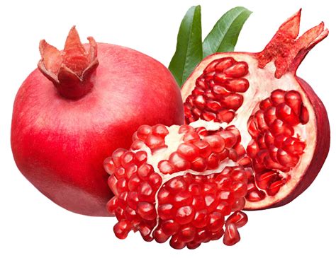 Pomegranate juice Seed oil - pomegranate png download - 658*508 - Free ...