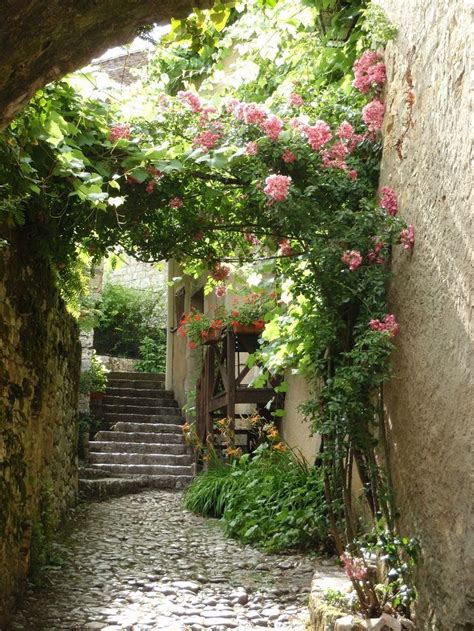 Stone Steps And Flower Filled Alleyway