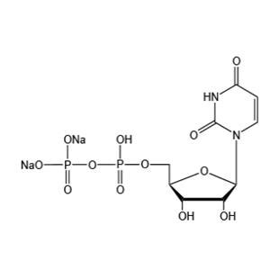 Uridine 5 Diphosphate Disodium Salt 27821 45 0 13C NMR Spectrum