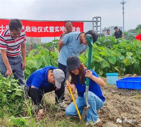 奋战百千万工程 正式启动！台山“三普”开始啦~台山快讯台山市人民政府门户网站