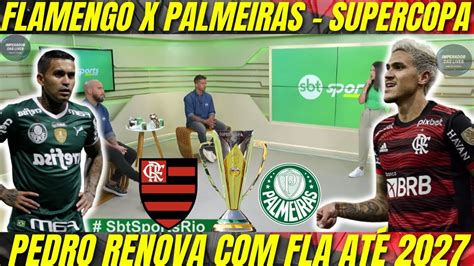 QUEM É FAVORITO PARA A FINAL FLAMENGO OU PALMEIRAS PEDRO RENOVA