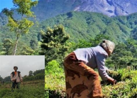 Penemuan Makam Kuno Di Gunung Padang Menyingkap Tabir Sejarah Masa Lalu